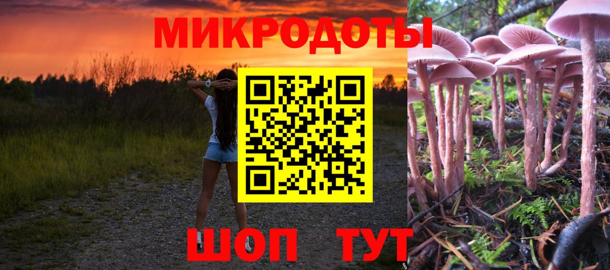 Псилоцибиновые грибы GOLDEN TEACHER  Вход с VPN  где купить наркоту  Волгодонск 